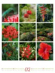 Bild von Inspiration Natur Kalender 2026