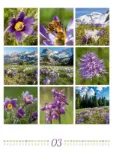Bild von Inspiration Natur Kalender 2026