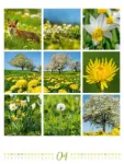 Bild von Inspiration Natur Kalender 2026