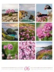 Bild von Inspiration Natur Kalender 2026