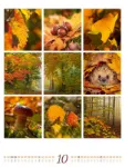 Bild von Inspiration Natur Kalender 2026