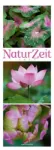 Bild von NaturZeit Triplet-Kalender 2026