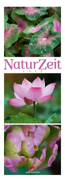 Bild von NaturZeit Triplet-Kalender 2026