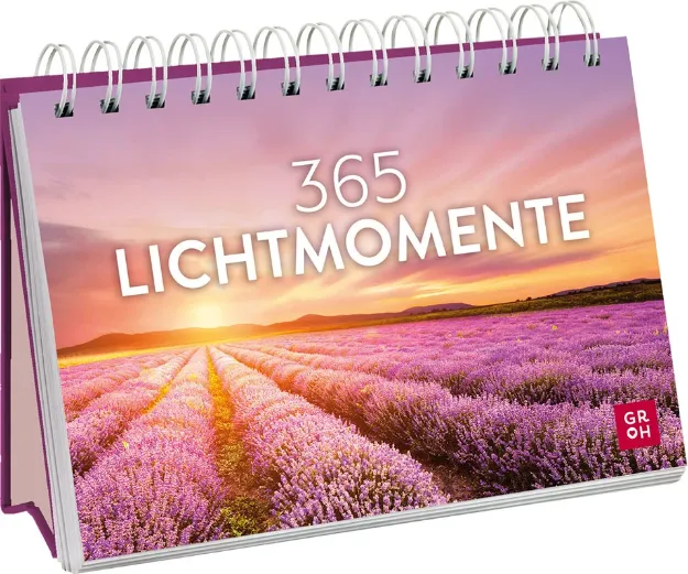 Bild von 365 Lichtmomente