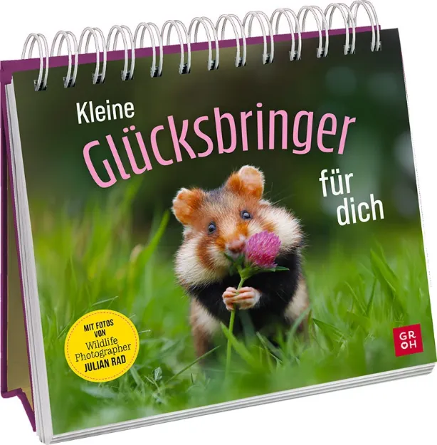 Bild von Kleine Glücksbringer für dich
