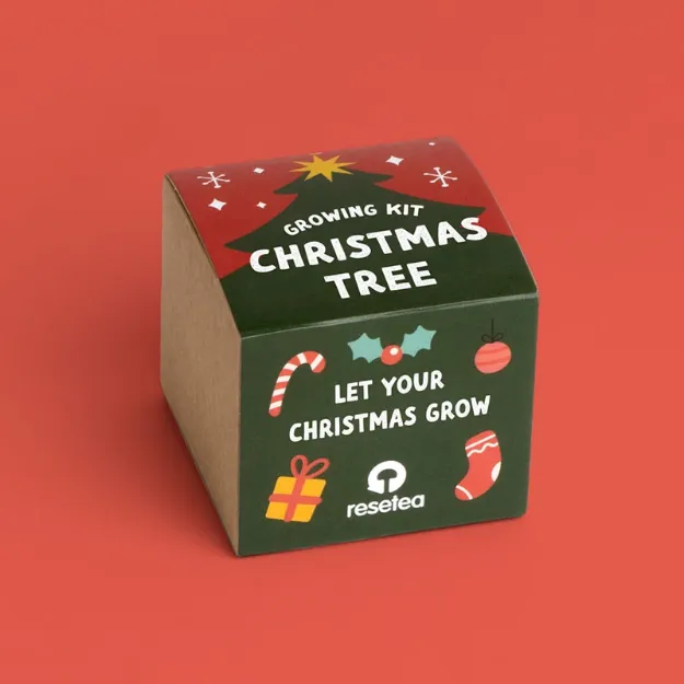 Bild von Christmas tree growing kit (english)