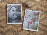 Bild von Brall, Stephanie Blohmer, Ann-Kathrin: Lichtungen Advent 2025
