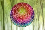 Bild von Lotus Fensterbild Glas