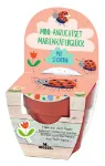 Bild von Mini-Anzuchtset mit Stickern Frühlingswiese, VE-12