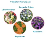 Bild von Anzuchtset Giesskanne Frühlingsgrüsse, VE-8