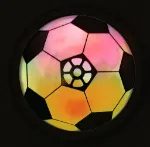 Bild von Fussball Bodengleiter, VE-12