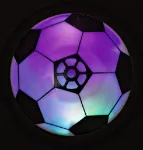 Bild von Fussball Bodengleiter, VE-12