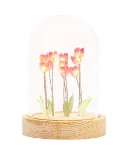 Bild von Lichterkuppel Tulpenfeld, VE-6