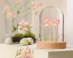Bild von Lichterkuppel Tulpenfeld, VE-6