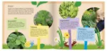 Bild von Krabbelkäfer Gartenbuch