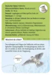 Bild von Expedition Natur 50 heimische Vögel, VE-1
