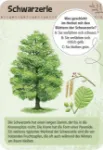 Bild von Expedition Natur 50 heimische Bäume, VE-1