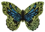 Bild von Mini-Schmetterlings-Drachen, VE-24