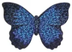 Bild von Mini-Schmetterlings-Drachen, VE-24