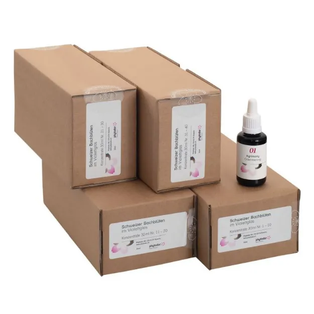 Bild von Bachblüten-Therapeuten-Set 40 x 30 ml Violettglas