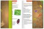 Bild von Expeditionedition Natur Das grosse Outdoor-Abenteuerbuch, VE-1
