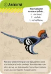 Bild von 50 Dinosaurier, VE-1