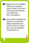 Bild von Pocket Quiz junior Pferde, VE-1