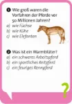 Bild von Pocket Quiz junior Pferde, VE-1
