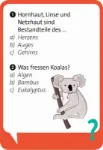 Bild von Pocket Quiz junior Schlaumeier, VE-1