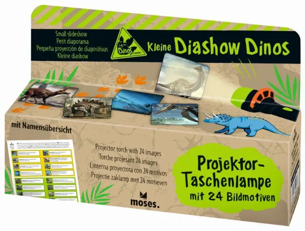 Bild von Kleine Diashow Dinos, VE-12