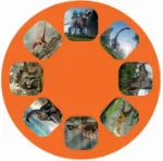 Bild von Kleine Diashow Dinos, VE-12