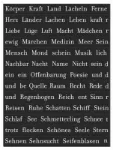 Bild von libri_x Magnetische Poesie, VE-4