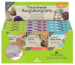 Bild von Expedition Natur Mini-Ausgrabungssets, VE-24