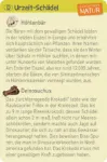Bild von Expedition Natur Mini-Ausgrabungssets, VE-24