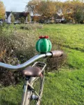 Bild von Fahrradhupe Kaktus, VE-4