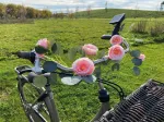 Bild von Solarlichterkette Blumen , VE-4