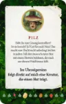 Bild von Der rätselhafte Zauberwald, VE-1