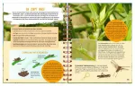 Bild von Expedition Natur: Das grosse Sommerbuch, VE-1
