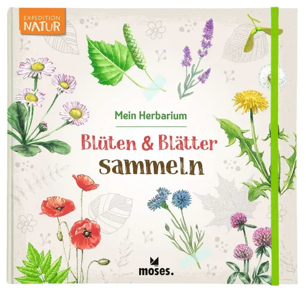 Bild von Blüten & Blätter sammeln, VE-1