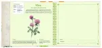 Bild von Blüten & Blätter sammeln, VE-1