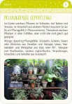 Bild von Blatt & Blüte Stadtgärtnern, VE-1