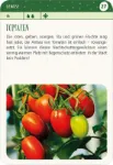 Bild von Blatt & Blüte Stadtgärtnern, VE-1