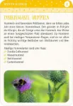 Bild von Blatt & Blüte Insektenglück, VE-1