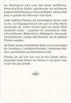 Bild von Blatt & Blüte Grüner Wohnen, VE-1