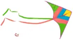 Bild von Neon Taschen-Flugdrachen, VE-4