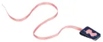 Bild von moses. libri_x Lesebändchen Jane Austen, VE-6