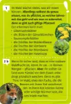 Bild von Mein Wald-Forscherquiz