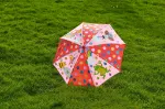 Bild von Krabbelkäfer Regenschirm Zauber-Tupfen , VE-2