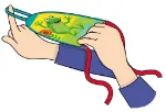 Bild von Krabbelkäfer Fingerjets, VE-9