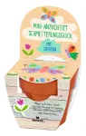 Bild von Mini-Anzuchtset mit Stickern Frühlingswiese, VE-12